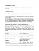 Ejemplo de un Protocolo de investigacion