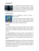 Pensamiento y Lenguaje El pensamiento