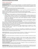 El Segundo Parcial de Obligaciones Civiles y Comerciales