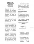 Protocolo en el estado