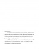 Reclutamiento de personal y sus técnicas en Guatemala