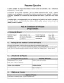 Acta de Constitución del Proyecto (Project Charter)