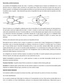 Ensayo de Recorridos y Grafos Eulerianos