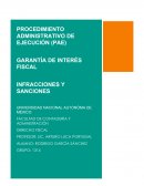 PROCEDIMIENTO ADMINISTRATIVO DE EJECUCIÓN (PAE)