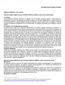 Rasgos de México como nación Ente los rasgos objetivos que considero definen a México como una nación están