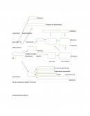 Mapa conceptual gagne