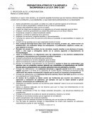 Mexico de piel mestiza