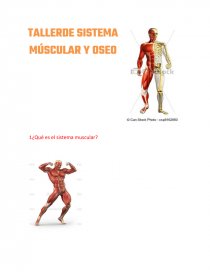¿CUALES SON LOS COMPONENTES DEL SISTEMA MÚSCULAR?. Página 1