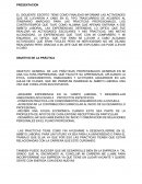 Ensayo final de practicas profesionales