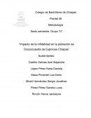 Trabajo, metodología de la investigacion