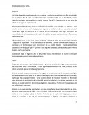 Etapas del ciclo vital