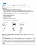 Prueba de Lenguaje y Comunicación 1°NM