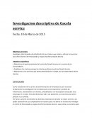 Tarea de individual investigacion de mercados