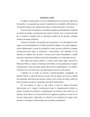 Sujetos procesales amparo constitucional