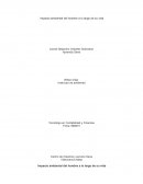 Impacto ambiental del hombre a lo largo de su vida