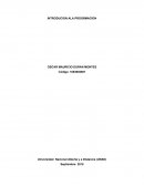 INTRODUCION ALA PROGRMACION