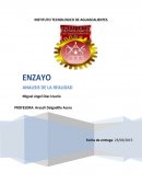 Analisis de la realidad