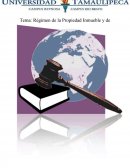 Régimen de la Propiedad Inmueble y de las Inversiones del extranjero en México