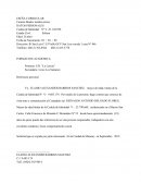 Curriculo Carmen Beatriz medina torres