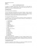 Como se da la ¿Qué es la contabilidad gubernamental?