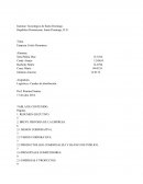 Logistica y Canales de Distribucion Hermanos Cortes