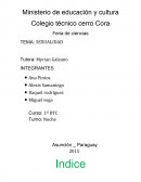 S evidente que el hombre y la mujer somos físicamente diferente y que tenemos distintos papeles en la reproducción.