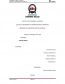 Trabajo de Investigación Grupal