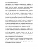 Organizacion