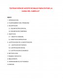 EXTRACCIÓN DE ACEITE DE MAJO PARA EVITAR LA CAIDA DEL CABELLO