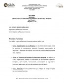 Resumen recursos humanos