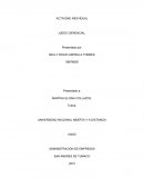 ﻿actividad individual Juego gerencial