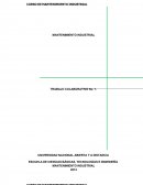 Trabajo colaborativo 1 mantenimiento industrial