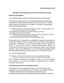 Recopilación de fragmentos que describen la profesión docente.