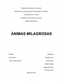 ÁNIMAS MILAGROSAS