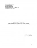 Como determinar la densidad de algunos solidos?