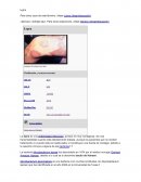 Lesiones de la lepra en la piel