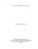 ENSAYO COSTOS DE FINANC CP