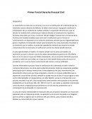 Primer Parcial Derecho Procesal Civil