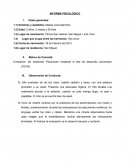 INFORME PSICOLÓGICO DE NIÑO