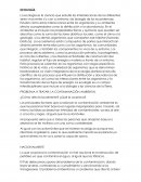 Mapa mental sobre estrategias de aprendizaje del curso Propedéutico del Nivel Medio Superior