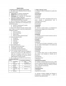 Examen procesal penal