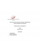 IDENTIFICACIÓN DE LA PROBLEMÁTICA