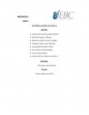 EMPRESA BORIS PLÁSTICA