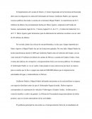 Ensayo Enriquecimiento Ilícito