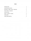 Advertencias suicidas