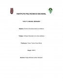 Enfoque Marxista en la vida cotidiana