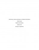 Definiciones y Normas Generales en el Estatuto Administrativo