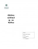 LA GLICOLISIS ES LA RUTA PARA EL CATABOLISMO DE LA GLUCOSA