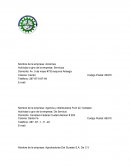 Mapa conceptual sobre la periocidad quimica