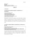 Hamas y la "promoción de la democracia" Noam Chomsky